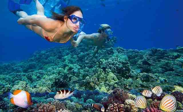 Nha Trang Fishing and Snorkeling Tours